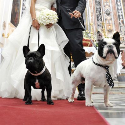 Pet friendly Matrimonio in Villa con cani