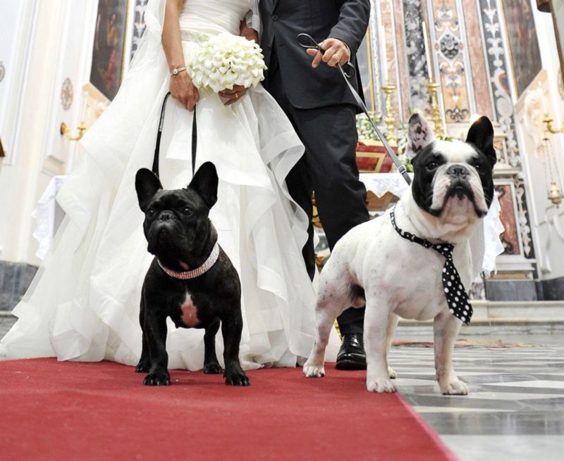 Pet friendly Matrimonio in Villa con cani